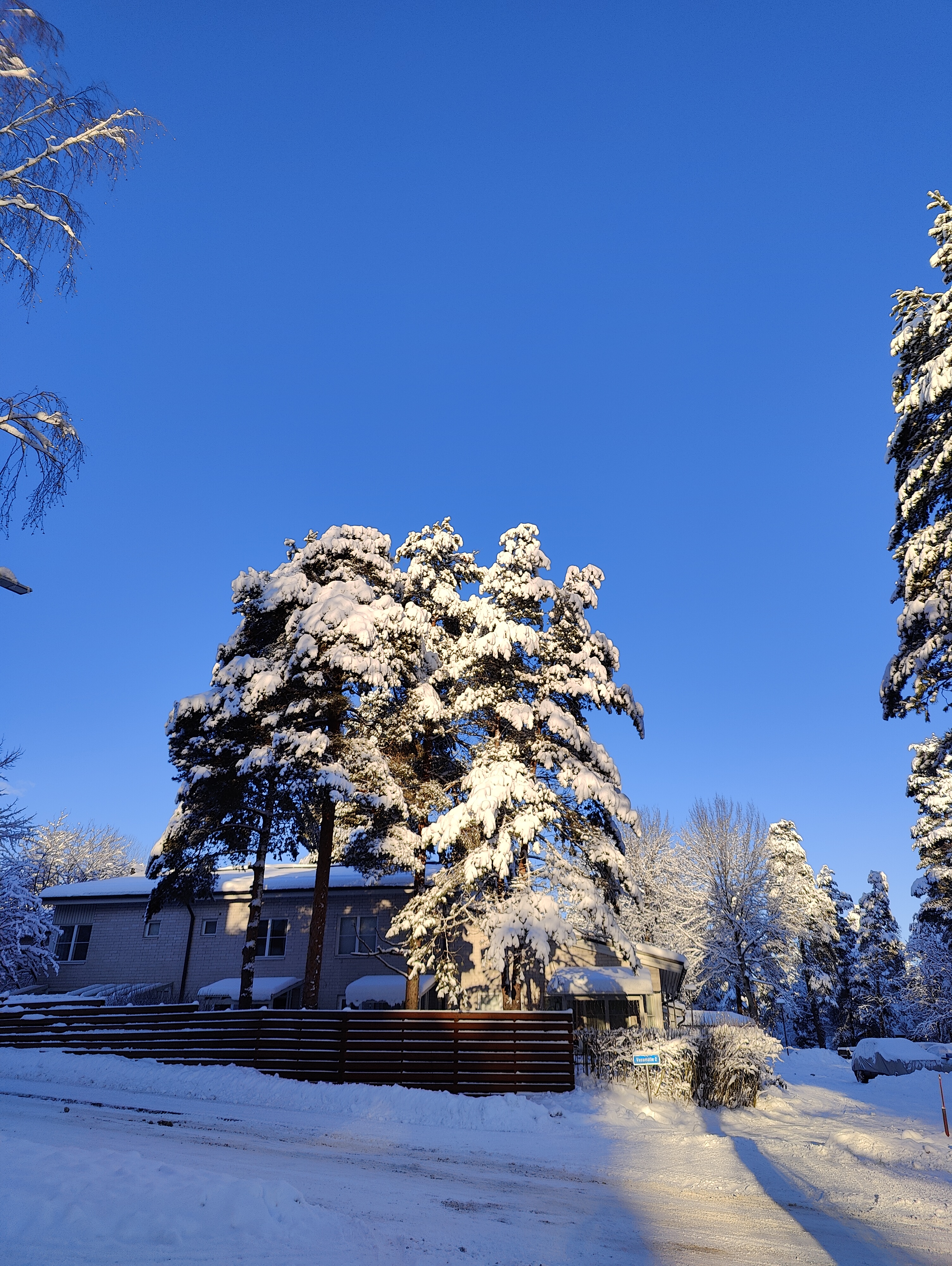 Snowlight