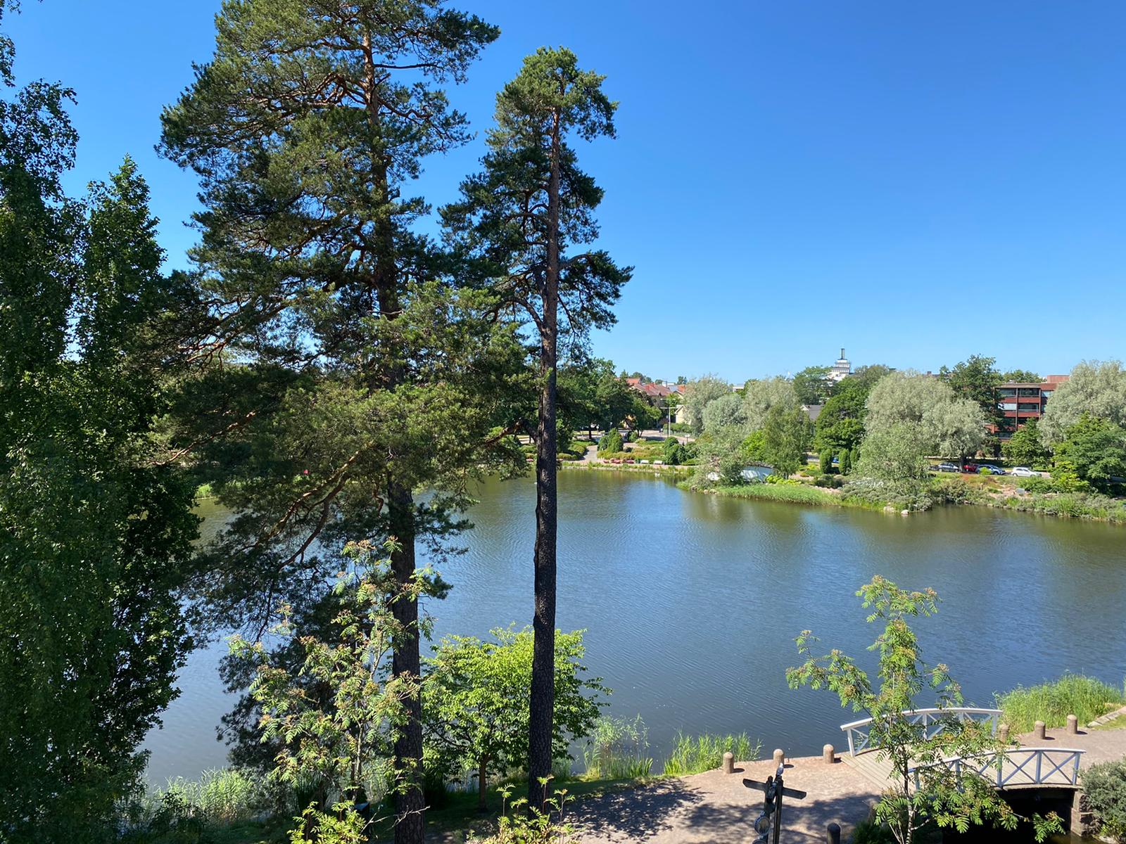 kotka