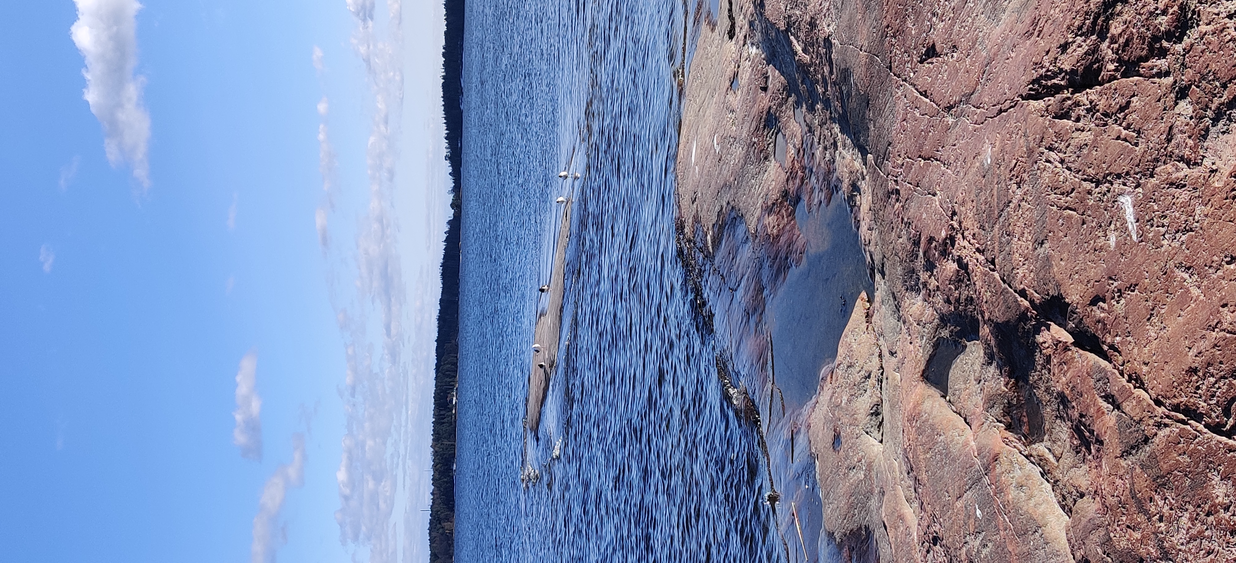 sea