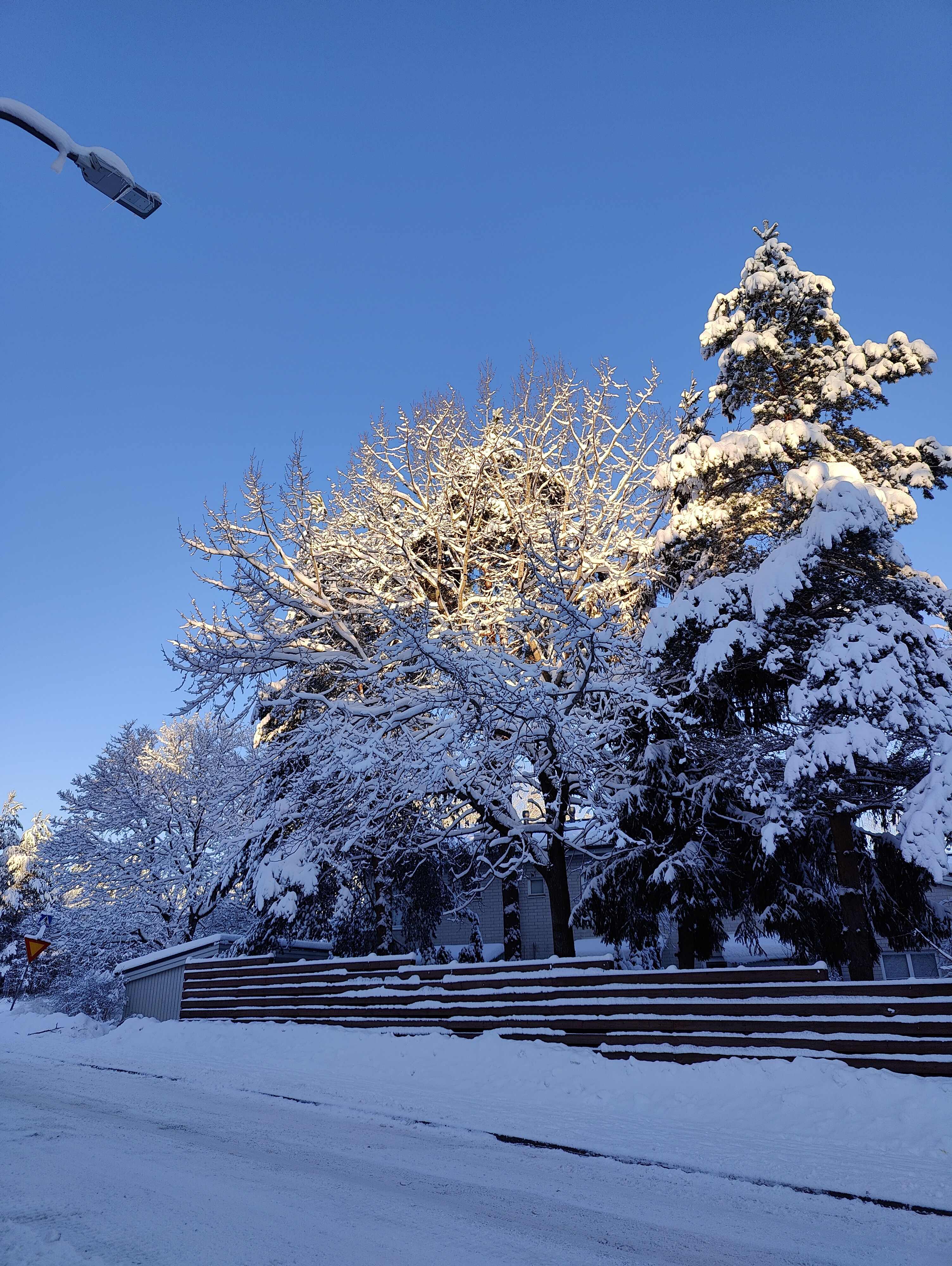 snowCovered